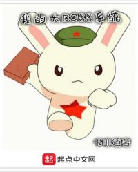 �ҵĴ�BOSSϵͳ