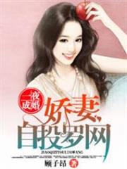 һҹ�ɻ飬������Ͷ����